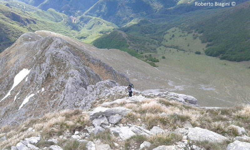 PANIA DELLA CROCE PER LA CRESTA EST: CRESTA EST 6' IMMAGINE